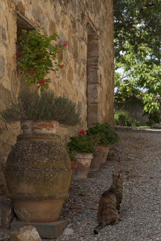 Vila Quercia Al Poggio Barberino di Val dʼElsa Exteriér fotografie